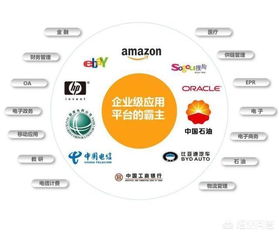 Java與Java開(kāi)發(fā)工程師在信息系統(tǒng)集成服務(wù)領(lǐng)域的現(xiàn)狀與前景