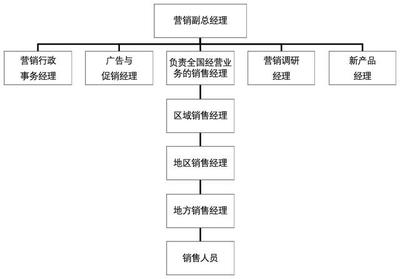 市場營銷策劃實(shí)操指導(dǎo)手冊(cè) 從戰(zhàn)略到執(zhí)行的全流程解析